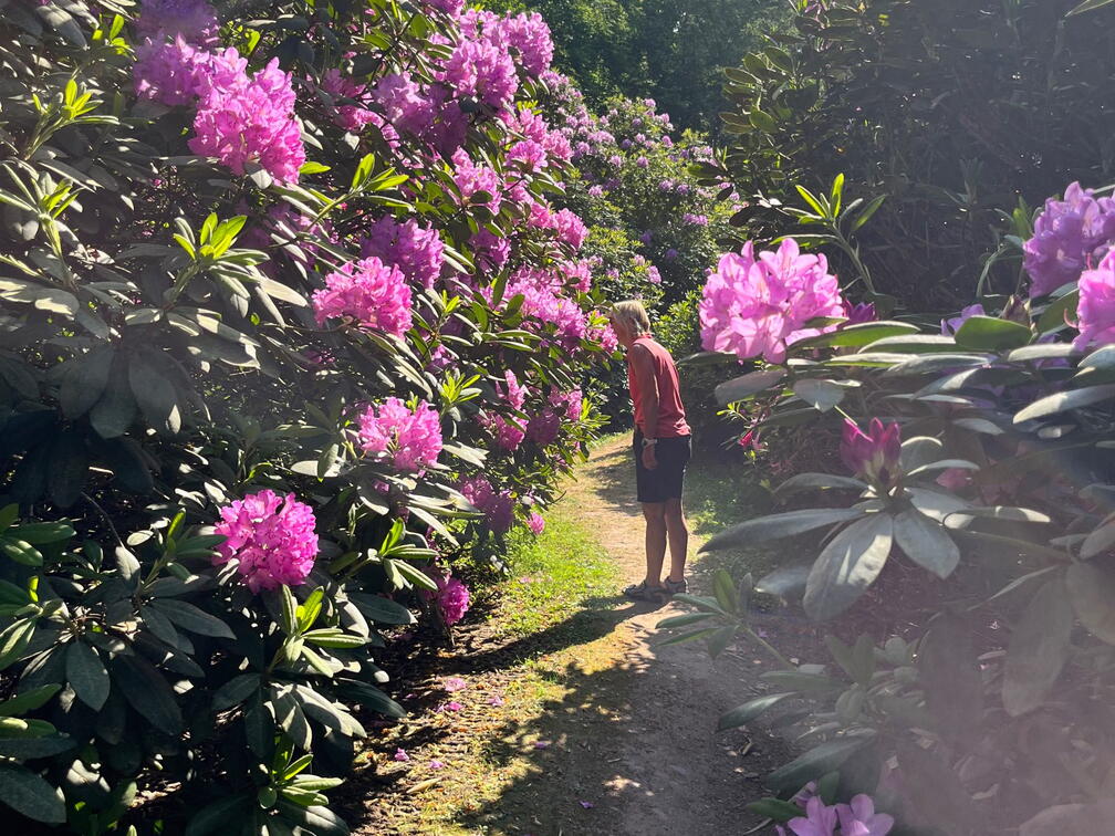 23-06-03 16-53-22 5806